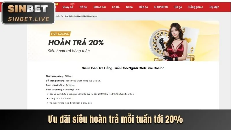 Chiến thuật chơi casino 66f win